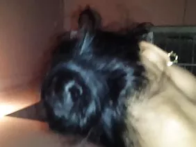 ಪ್ರಕೃತಿಯಲ್ಲಿ ಬ್ಲೋಜಬ್ ಮಾಡುವ ಒಬ್ಬ ವ್ಯಕ್ತಿಗೆ ಎಳೆಯ ಹುಡುಗಿ ಎಳೆತ ಮತ್ತು ಬ್ಯಾಂಗ್ಸ್ ಮೊಟ್ಟೆ